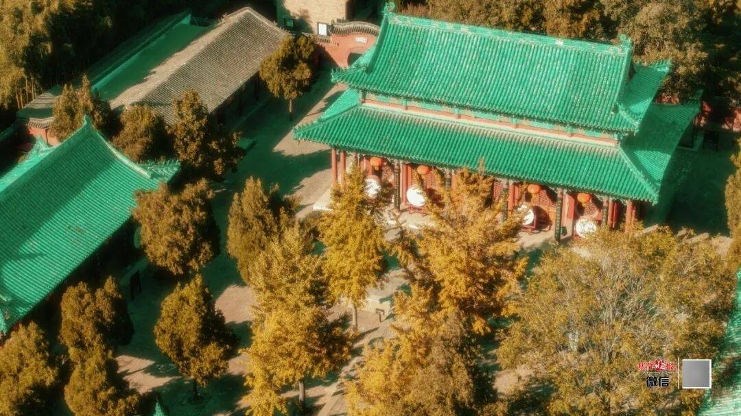 银杏金黄<strong></p>
<p>莱特币行情</strong>!铺满焦作的秋天!