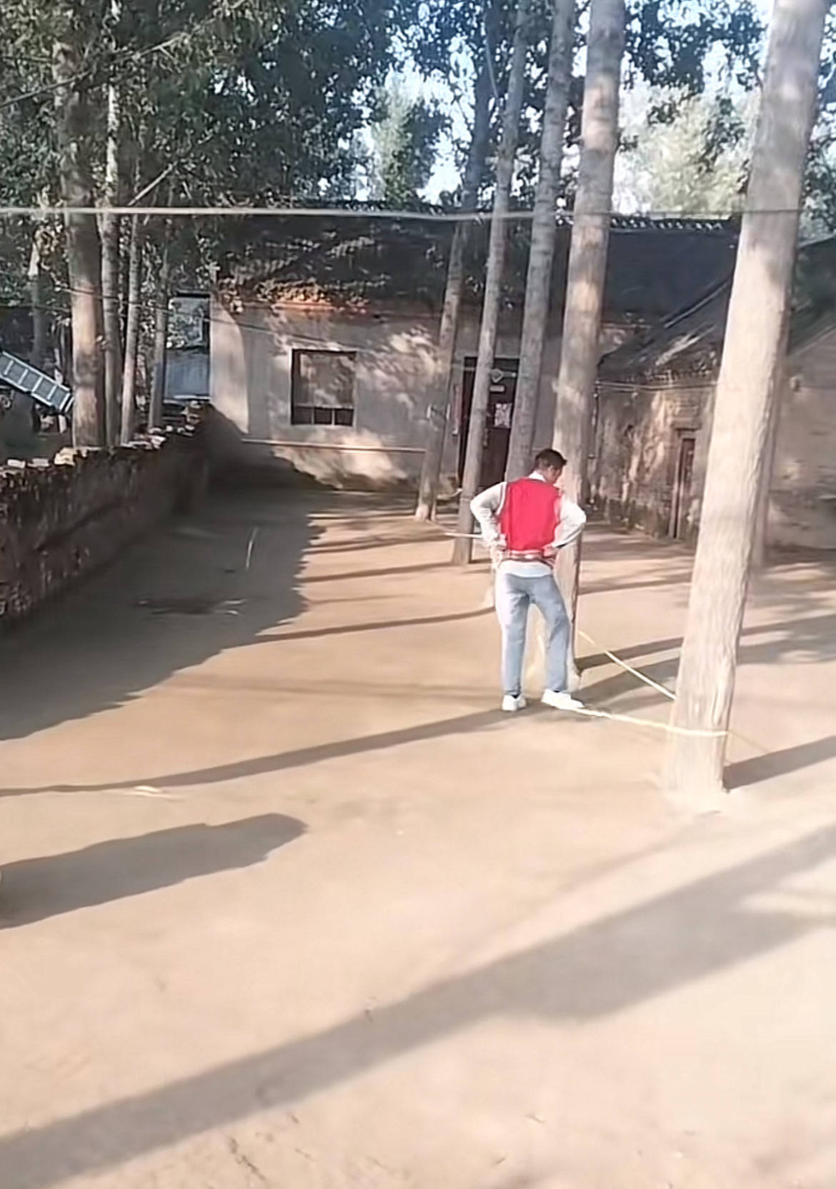 河南一大爷的院子因干净成网红打卡地<strong></p>
<p>BSV行情</strong>,网友:像极了小时候家的样子,想拖鞋光脚丫子走