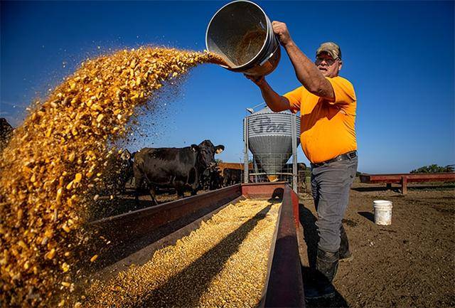 又输给了李成钢<strong></p>
<p>比特币行情</strong>,贝森特承诺:美方不再考虑对华加征100%关税