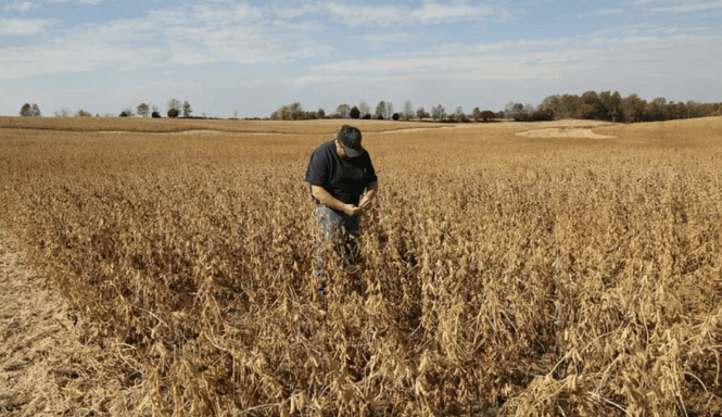 谈妥了又突然变卦!中国复购美国大豆换关税暂停<strong></p>
<p>BITOP价格</strong>,美贸易代表直接通告全球:继续查中国