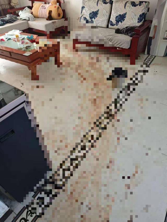 “女子出租屋遭男友持刀杀害”案明日开庭<strong></p>
<p>比特币价格</strong>，家属发声：凶手从未道歉，我们不会谅解