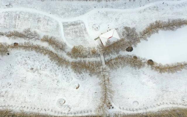 百年难遇“早立冬”来了<strong></p>
<p>比特币价格</strong>!有啥讲究?早看早准备!