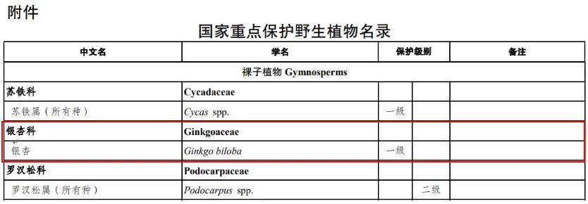 满大街都是银杏树<strong></p>
<p>ETH价格</strong>,为什么还是濒危物种?