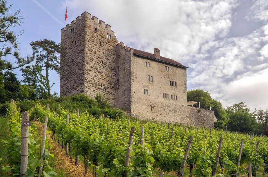 失踪百年的欧洲王室诅咒之钻重现<strong></p>
<p>以太坊价格</strong>,背后藏着一位忠贞皇后的惊人布局