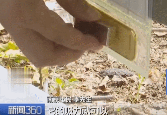 不是慢镜头!福建舰电磁弹射速度那么快<strong></p>
<p>泰达币价格</strong>,是怎么瞬间刹车的?