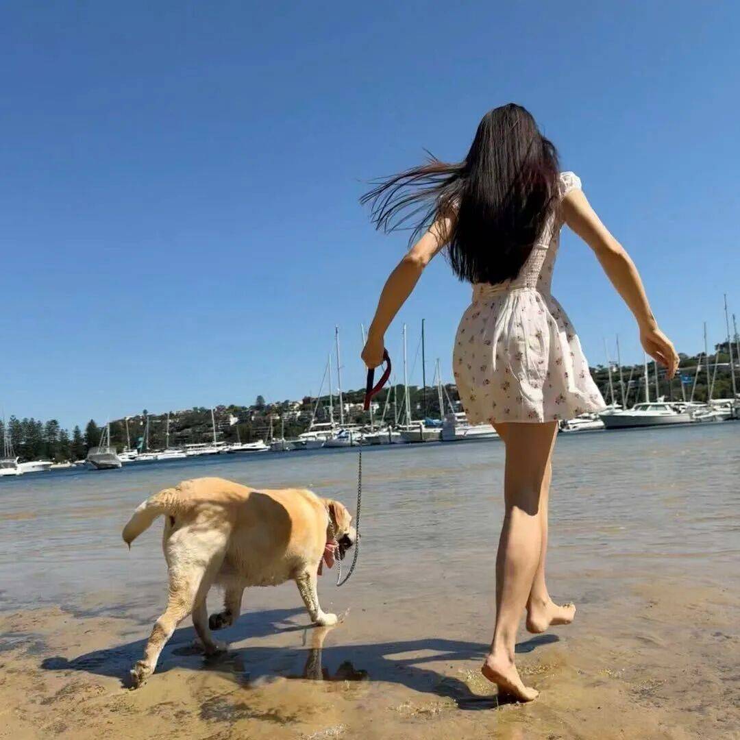 第一批丁克老后<strong></p>
<p>DOT价格</strong>,“伴侣能陪一程,但最后都要靠自己”