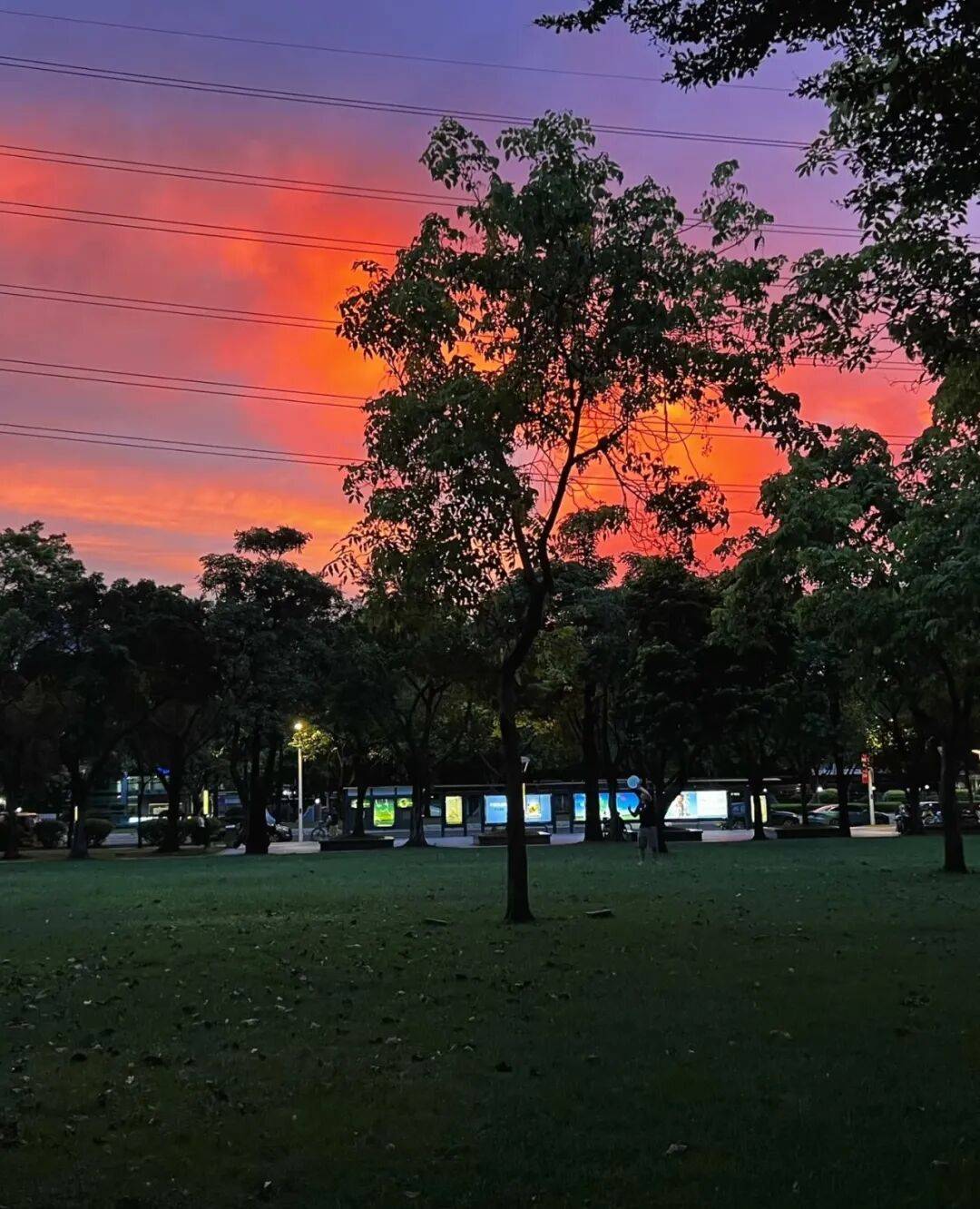 第一批丁克老后<strong></p>
<p>DOT价格</strong>,“伴侣能陪一程,但最后都要靠自己”