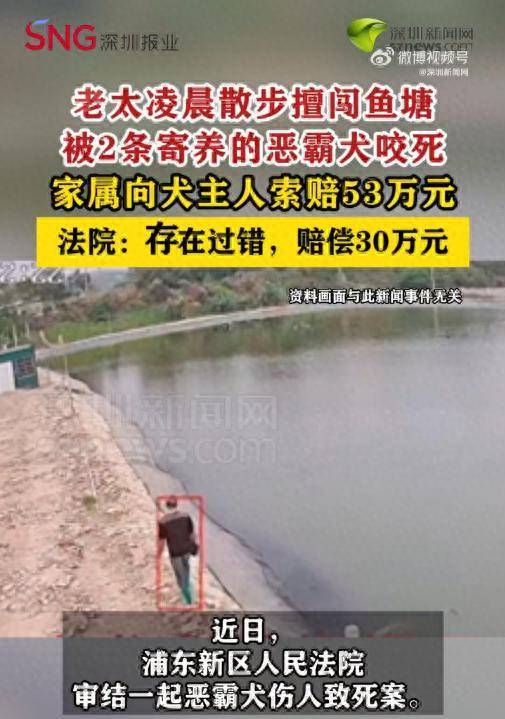 老太凌晨擅闯鱼塘被2条恶霸犬咬死<strong></p>
<p>DOT价格</strong>,家属索赔53万,法院判决!