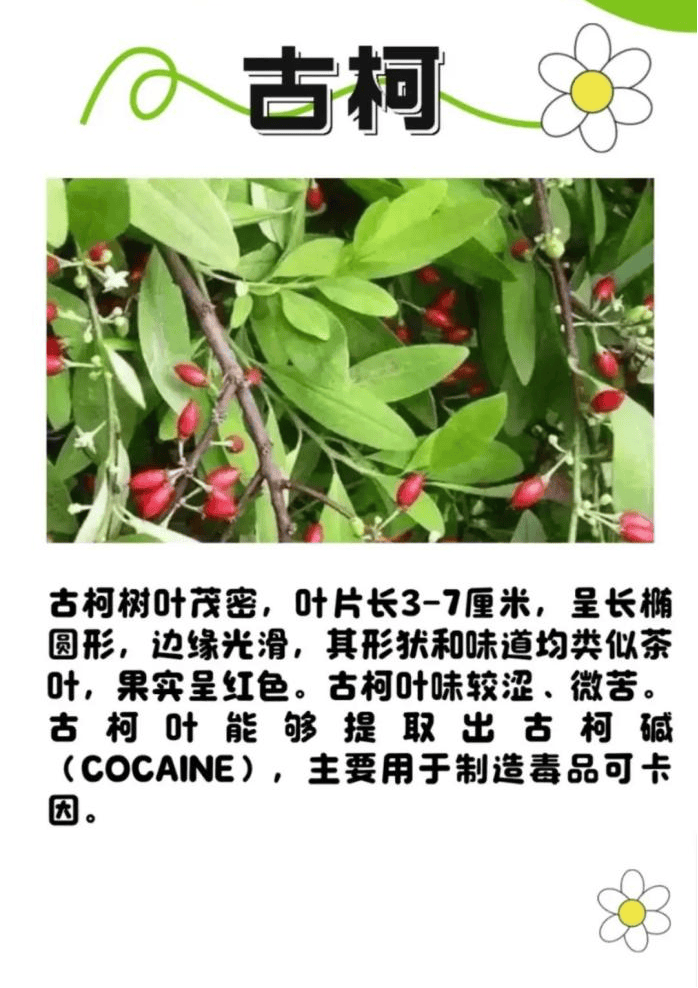 悬赏1500万美金!前奥运选手涉多起案件<strong></p>
<p>币安币价格</strong>,被列入十大通缉犯