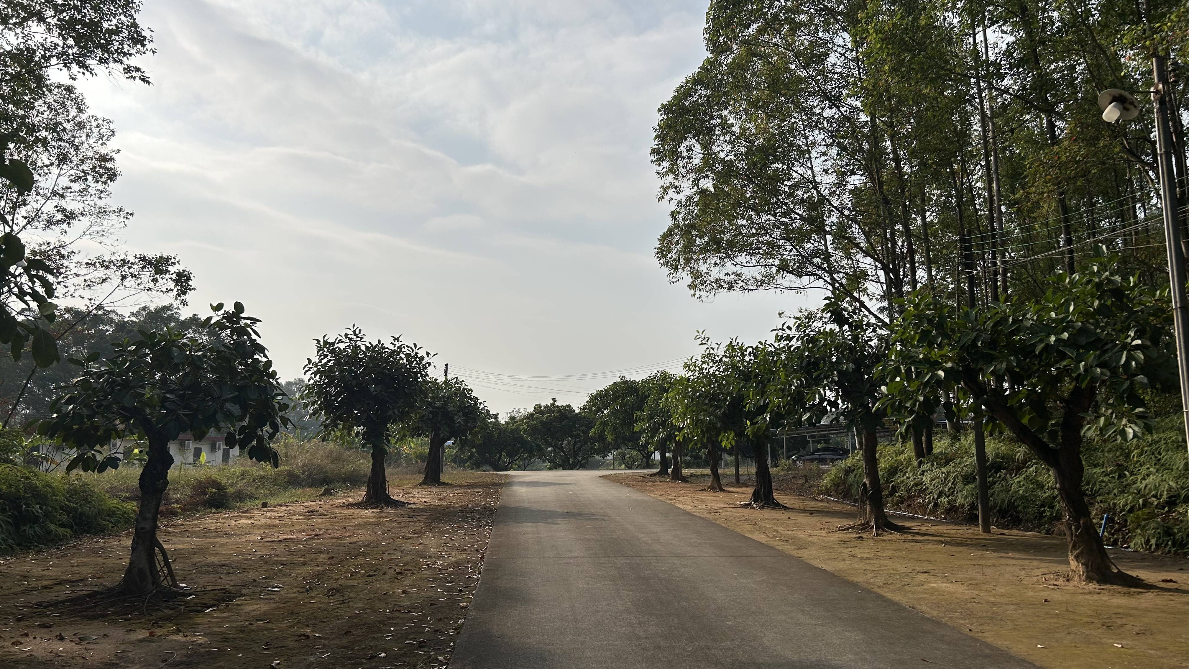 有价无猴!实验猴价格暴涨<strong></p>
<p>比特现金价格</strong>,有猴场明年的猴都被订光,繁殖率已跟不上|调查