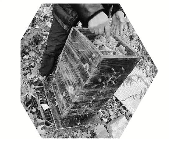 两派蜜蜂打群架<strong></p>
<p>BSV价格</strong>,伤亡惨重 民警:别打了,赔钱赔蜂蜜