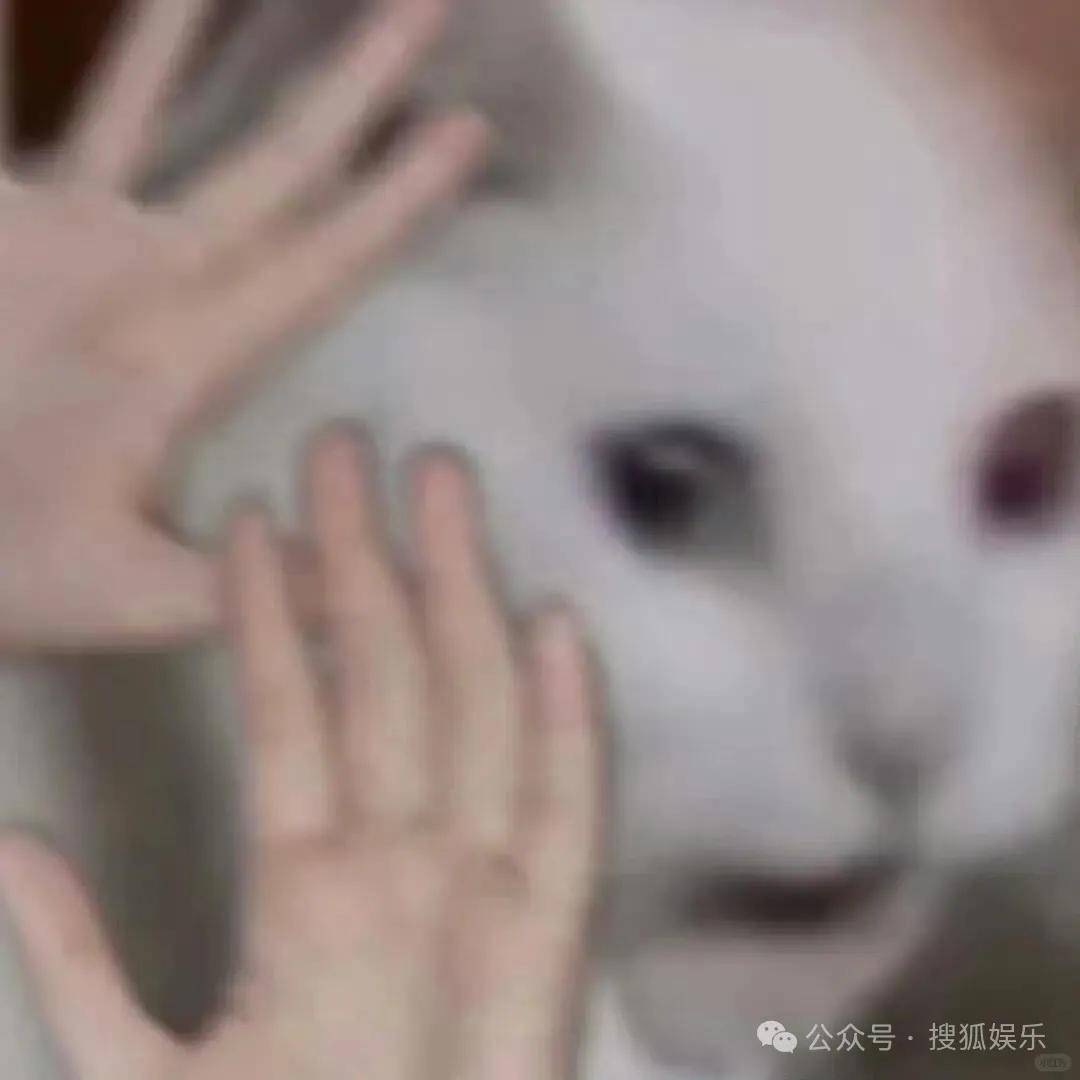 又一对魔幻的圈内姐弟恋曝光<strong></p>
<p>BSV价格</strong>!这组合有点太超前了......