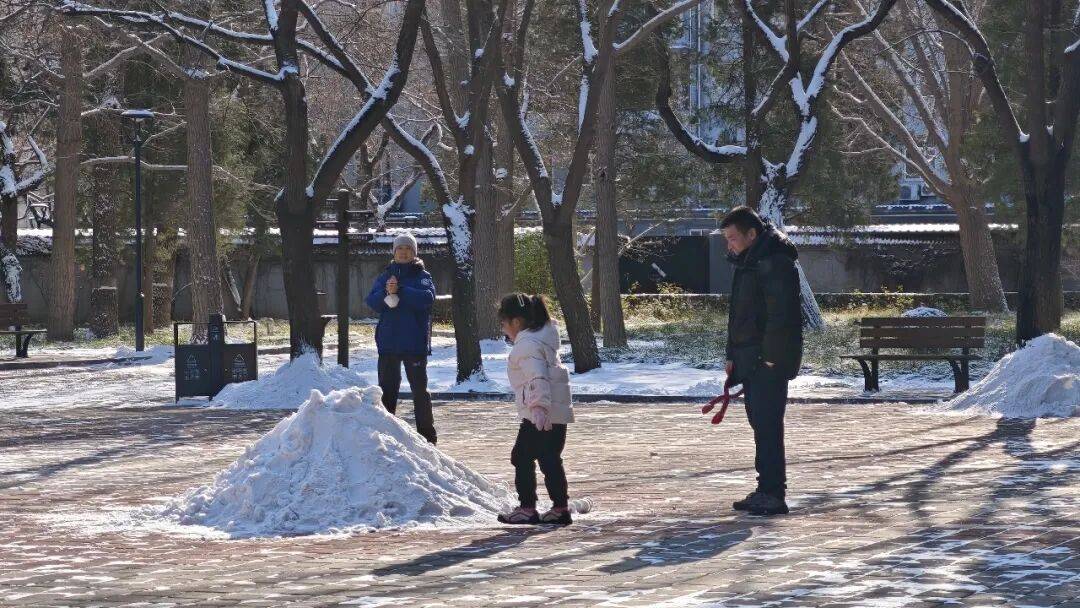北京绿化带里用了二十年的板子<strong></p>
<p>区块链挖矿价格</strong>,今冬“下岗”了——