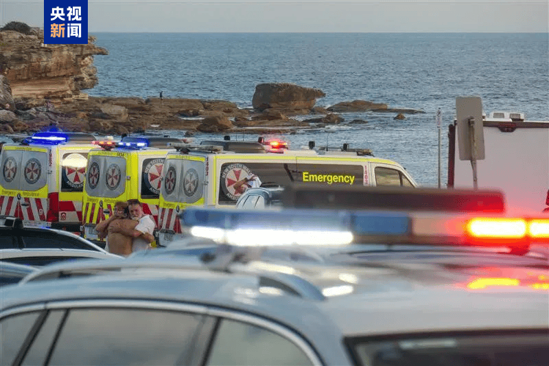 澳大利亚海滩枪击事件两名枪手为父子关系，父亲50岁，儿子24岁！一名路人冒险夺枪反击，身中两弹，需接受手术