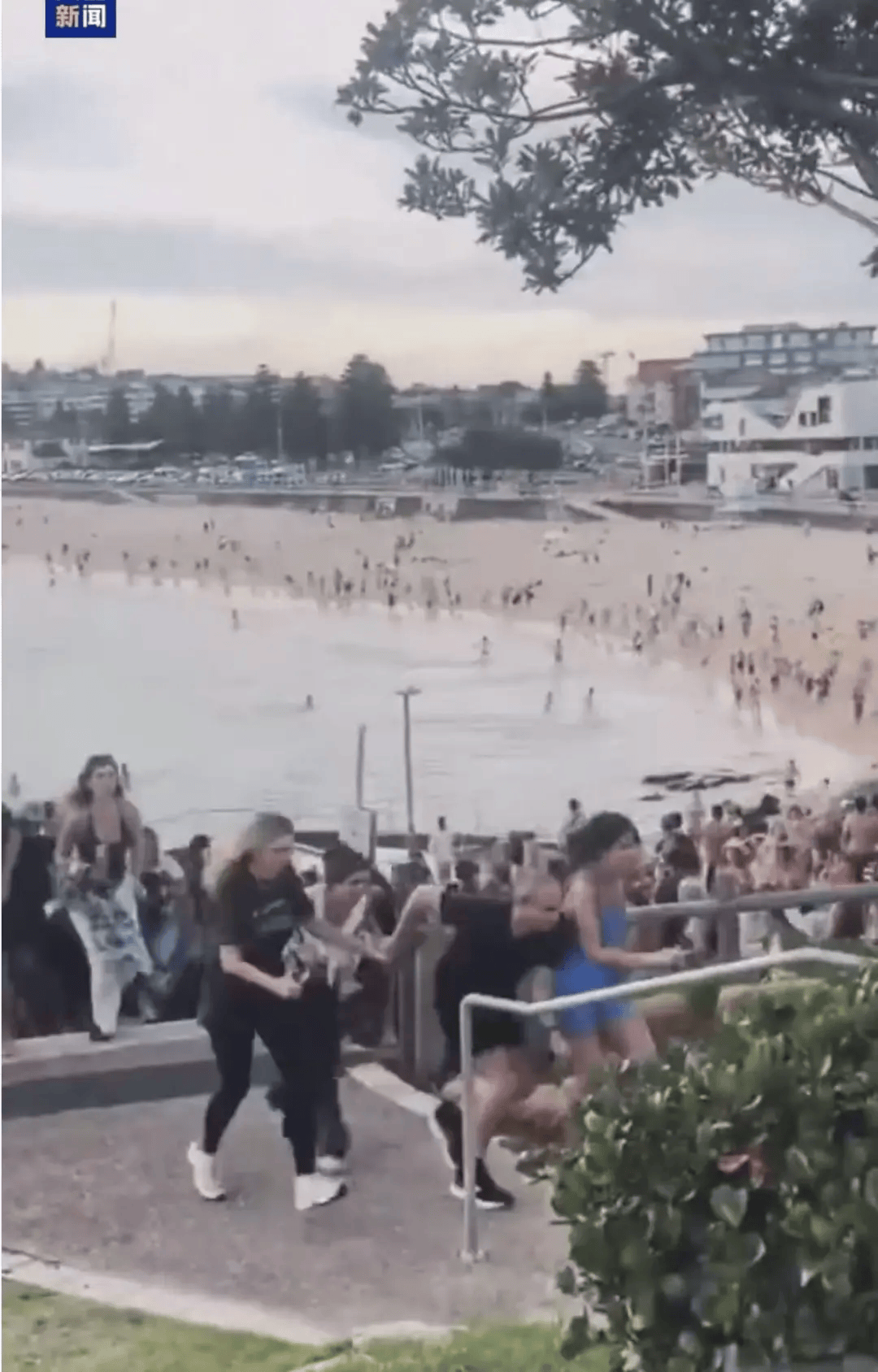 澳大利亚海滩枪击事件两名枪手为父子关系<strong></p>
<p>区块链挖矿价格</strong>,父亲50岁,儿子24岁!一名路人冒险夺枪反击,身中两弹,需接受手术