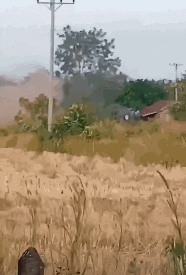 柬埔寨出动PHL-03型300毫米远火<strong></p>
<p>虚拟货币交易</strong>，3发火箭弹准确命中泰军据点？