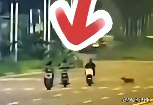 女子骑行被未拴绳大狗撞倒身亡，5个月后丈夫突发脑溢血进ICU，家中还有3个孩子两个老人