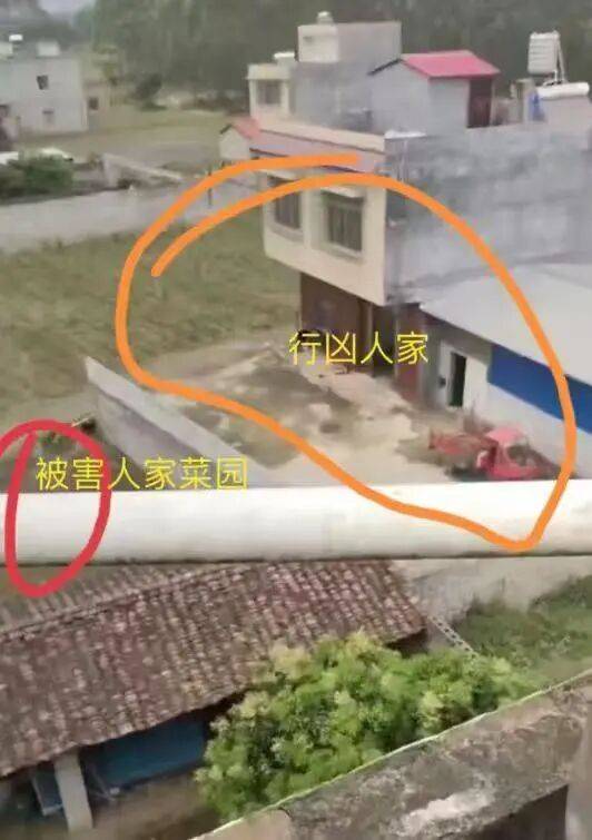 刚刚宣判:何某乖<strong></p>
<p>虚拟货币交易</strong>,改判死刑!