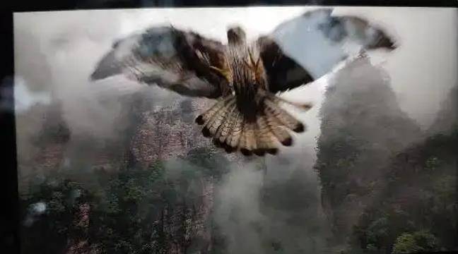 土耳其老鹰空中抓走无人机<strong></p>
<p>中国虚拟货币</strong>，带上山顶“玩自拍”