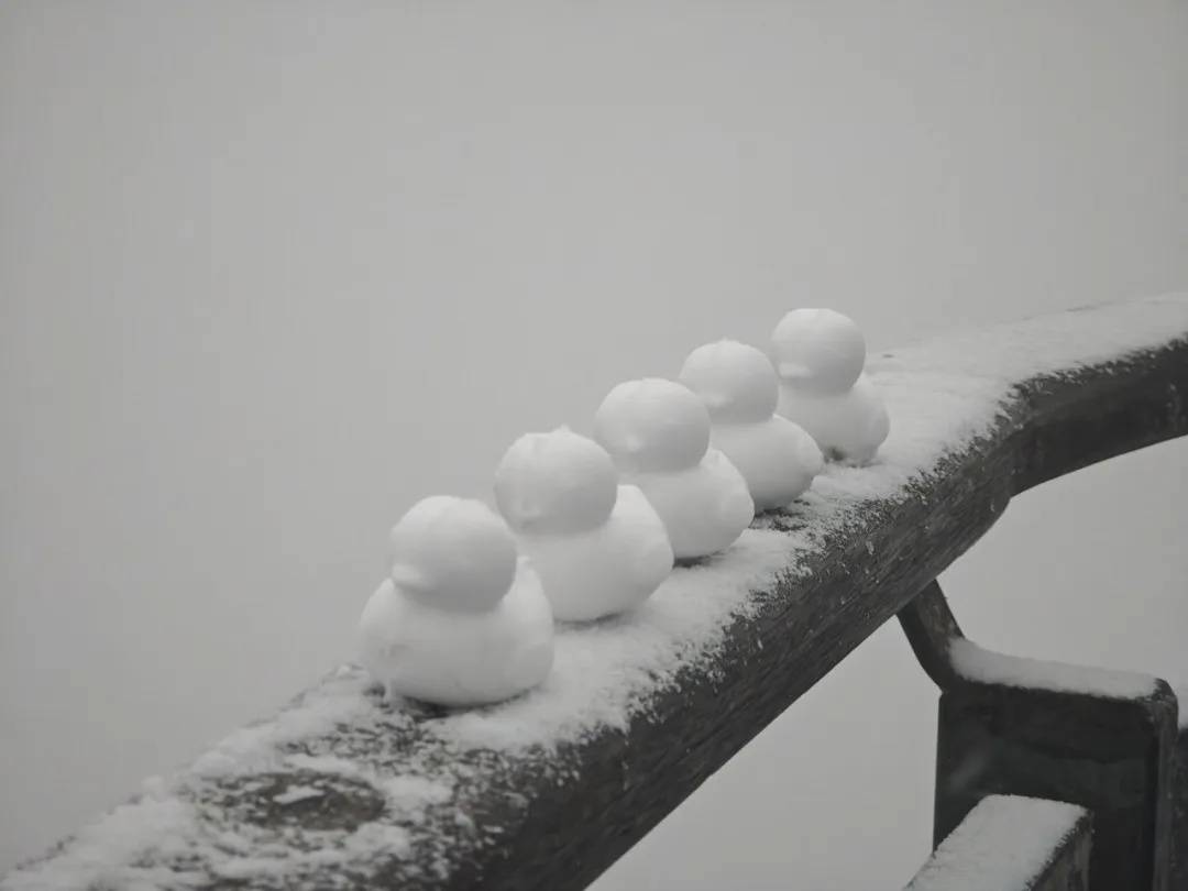 直降10℃<strong></p>
<p>虚拟货币挖矿</strong>！南京又要下雪了