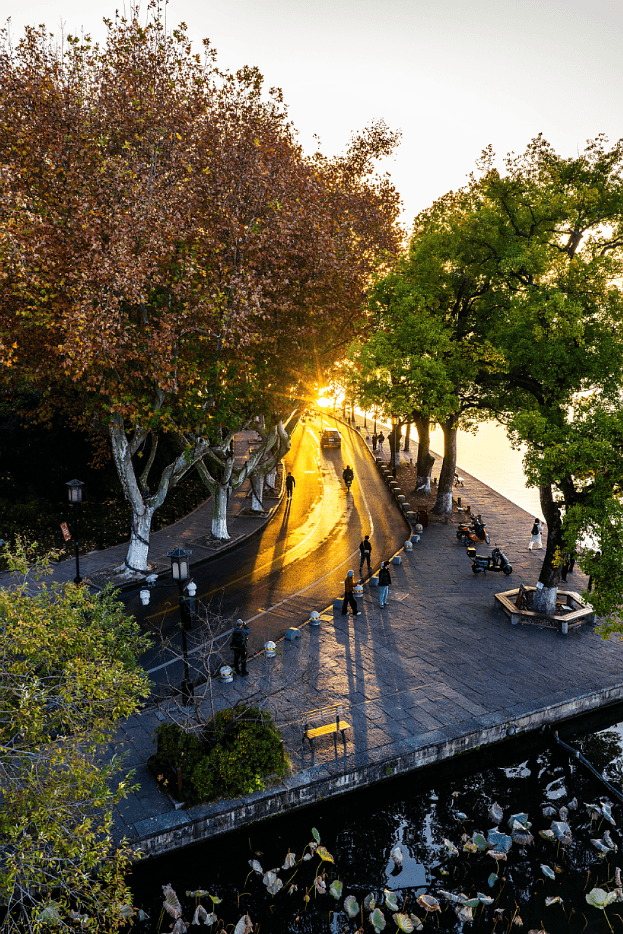 今起<strong></p>
<p>虚拟货币挖矿</strong>，持续一周！直冲20℃！杭州人做好准备，还有个大反转……