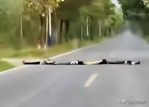 四名儿童排队横躺马路上扮演“减速带”<strong></p>
<p>最新虚拟货币</strong>，司机：“远看以为是塑料袋”